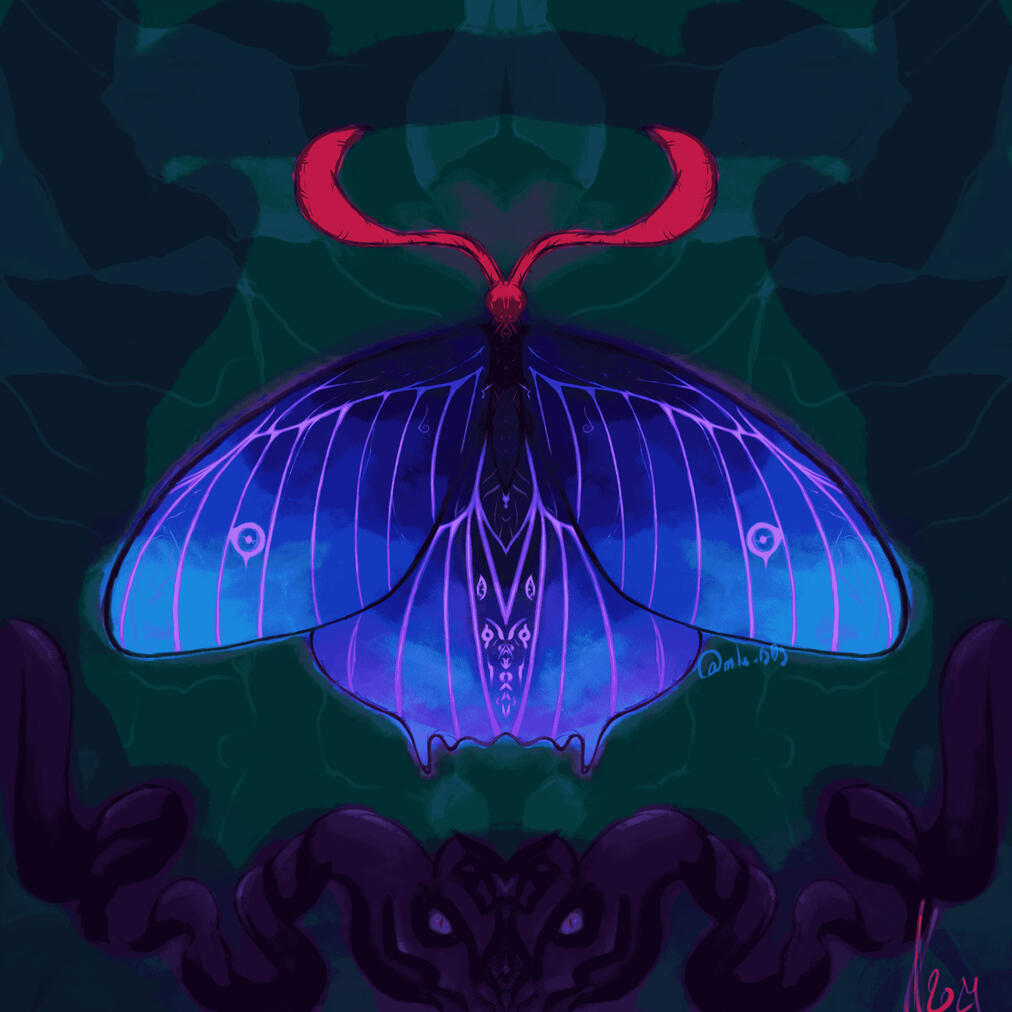 Buttlefly
